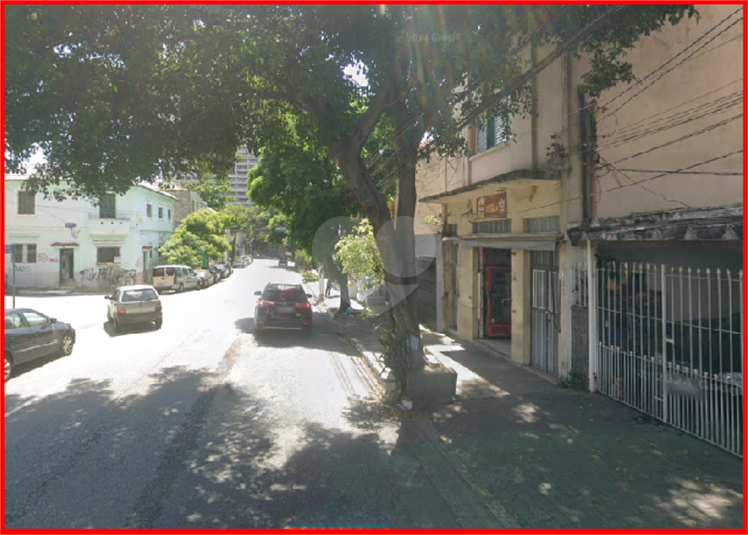 Foto REO1054379