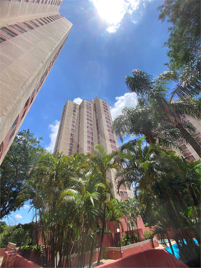 Venda Apartamento São Paulo Jardim Ângela (zona Leste) REO1054388 1