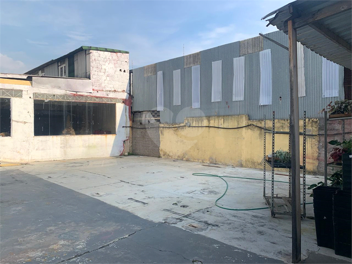 Foto REO1054435