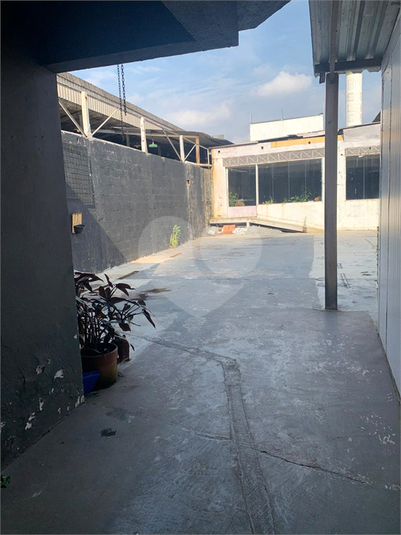 Foto REO1054435