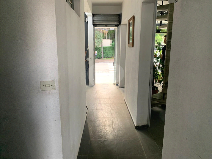Foto REO1054435