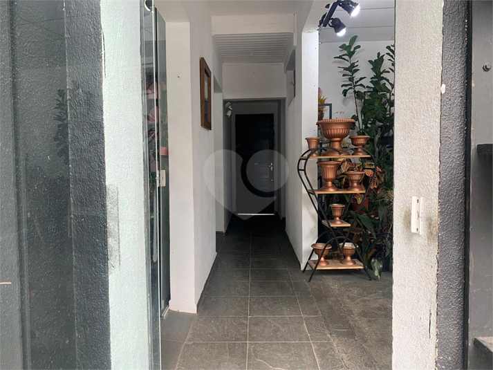 Foto REO1054435