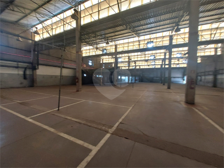 Foto REO1054441