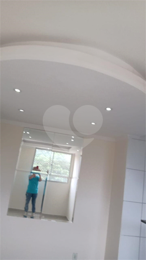 Foto REO1054469