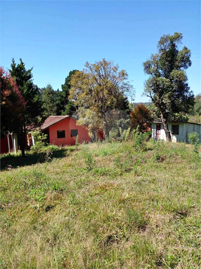 Venda Chácara Quitandinha Centro REO1054471 2