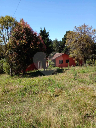 Venda Chácara Quitandinha Centro REO1054471 3