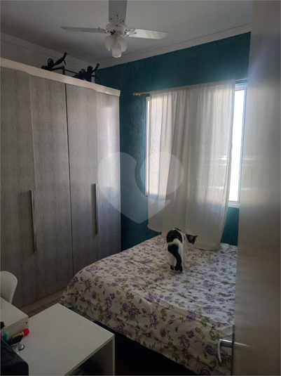 Foto REO1054543
