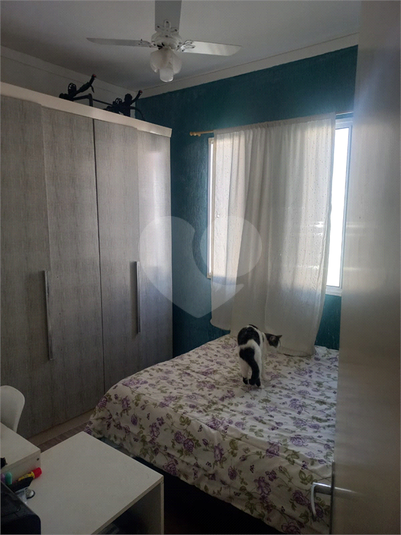 Venda Apartamento Sumaré Jardim Santa Terezinha (nova Veneza) REO1054543 4