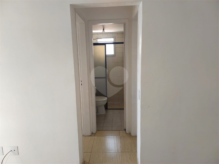 Aluguel Apartamento São Paulo Tatuapé REO1054552 11