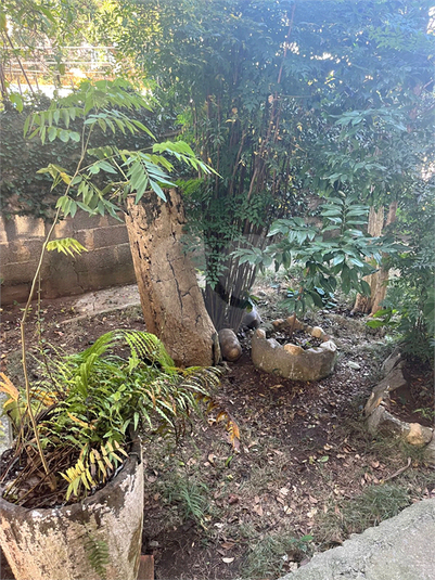 Foto REO1054561