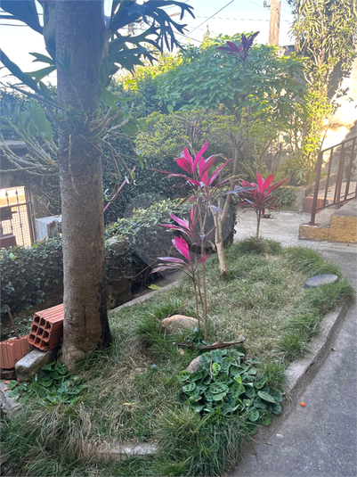Foto REO1054561