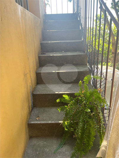 Foto REO1054561