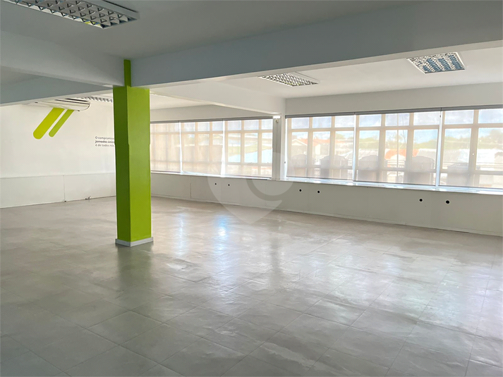 Foto REO1054574