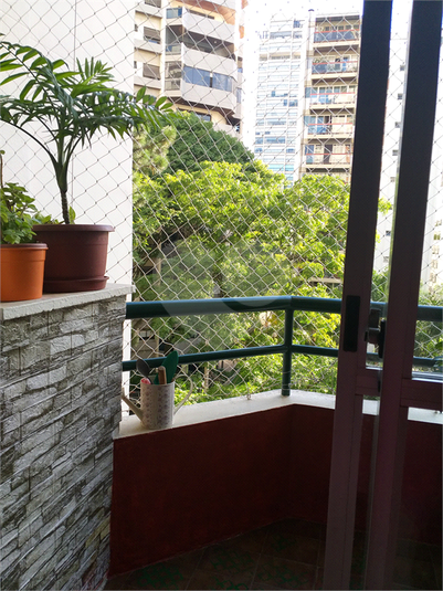 Venda Apartamento São Paulo Campo Belo REO1054621 11