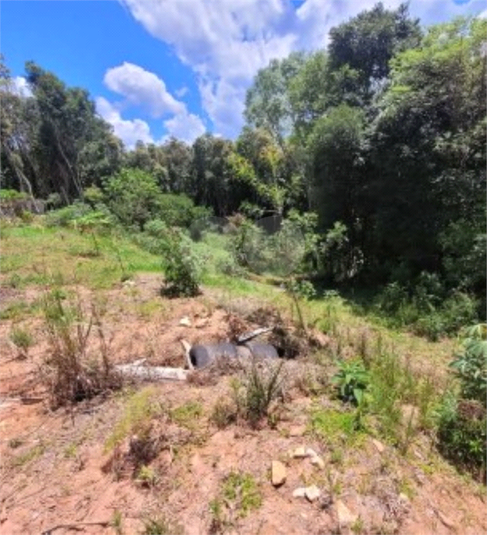 Venda Chácara Contenda Rio Do Cacho REO1054640 14