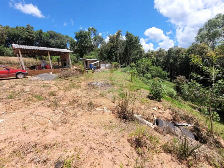 Venda Chácara Contenda Rio Do Cacho REO1054640 3