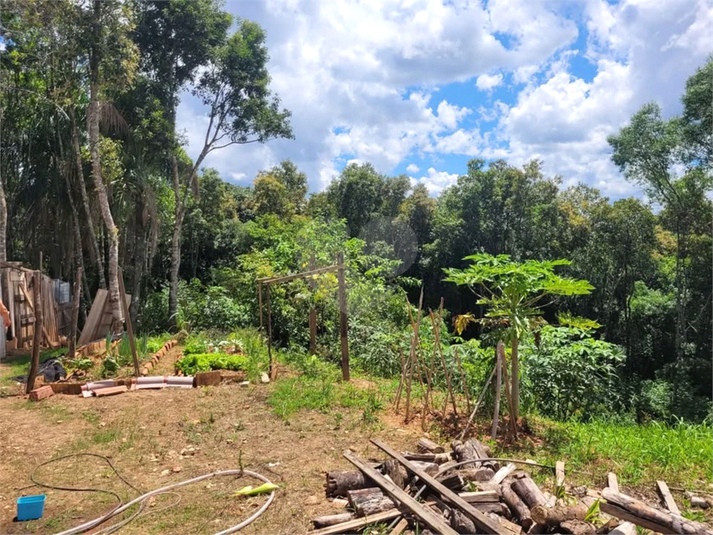 Venda Chácara Contenda Rio Do Cacho REO1054640 7