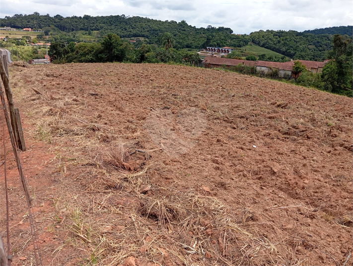 Venda Terreno São Roque Centro (canguera) REO1054671 3