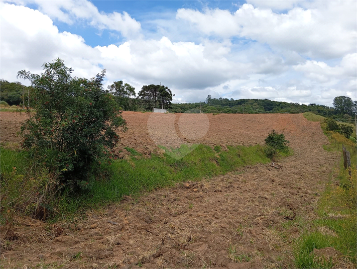 Venda Terreno São Roque Centro (canguera) REO1054671 8