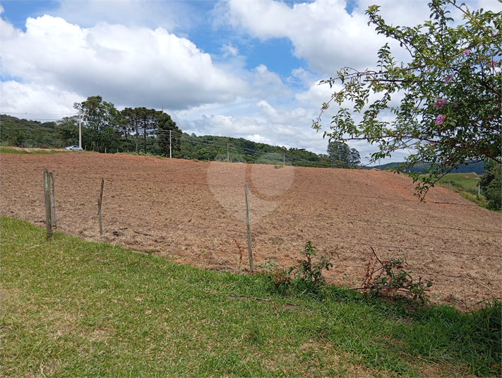 Venda Terreno São Roque Centro (canguera) REO1054671 5