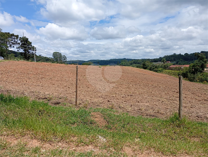 Venda Terreno São Roque Centro (canguera) REO1054671 4