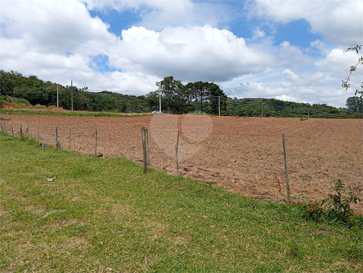 Venda Terreno São Roque Centro (canguera) REO1054671 10