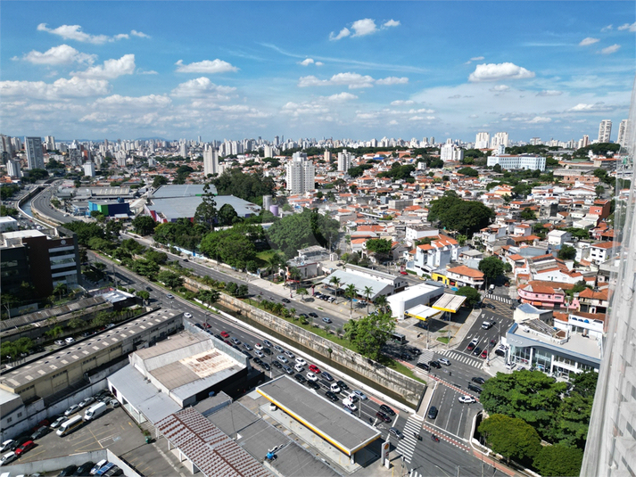 Foto REO1054735