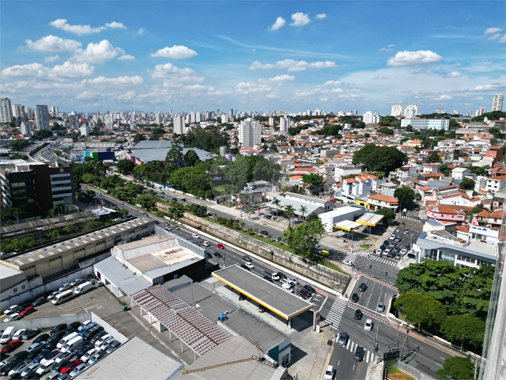 Foto REO1054735