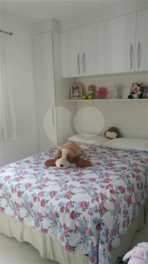 Foto REO1054786