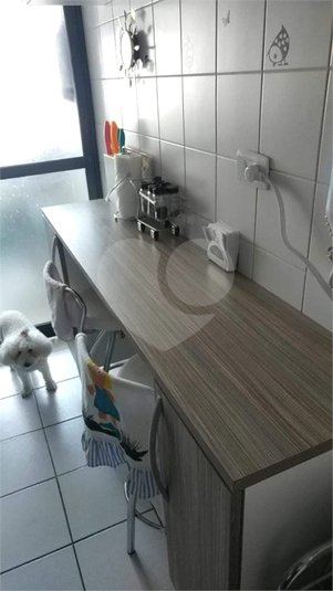 Foto REO1054786