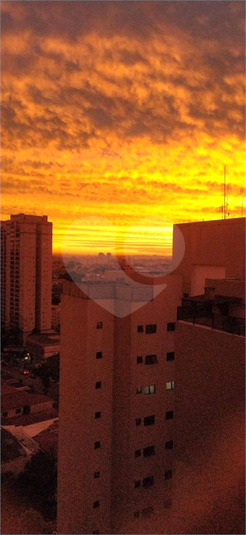 Foto REO1054786