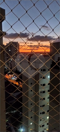 Foto REO1054786
