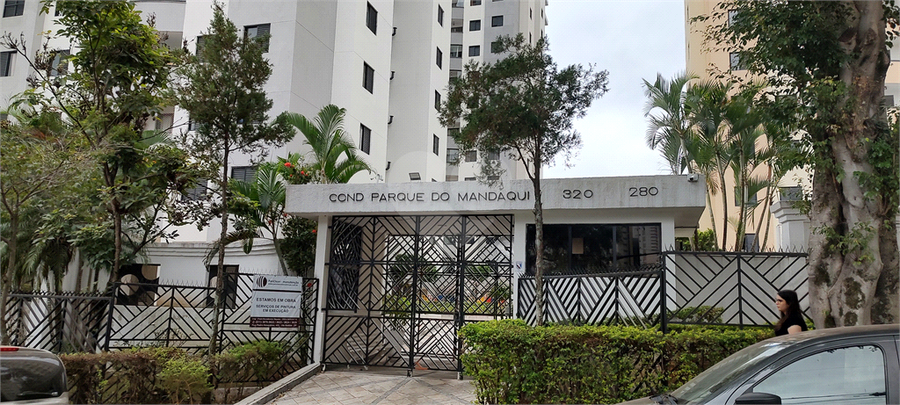 Foto REO1054786