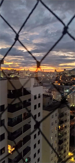 Foto REO1054786
