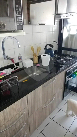 Foto REO1054786