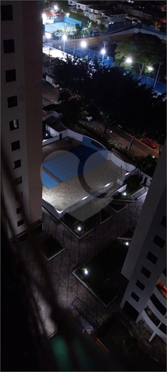 Foto REO1054786