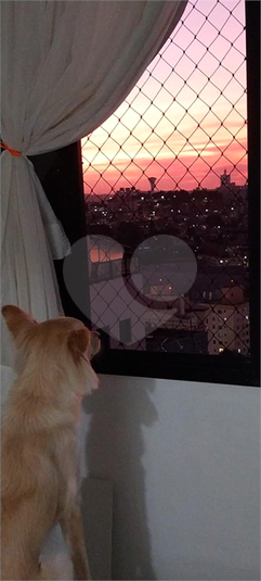 Foto REO1054786
