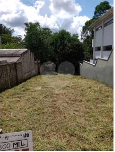 Foto REO1054789