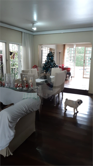 Foto REO1054795
