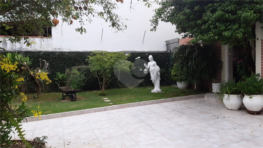 Foto REO1054795