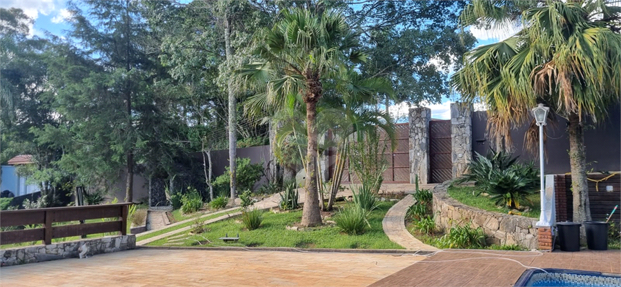 Foto REO1054889
