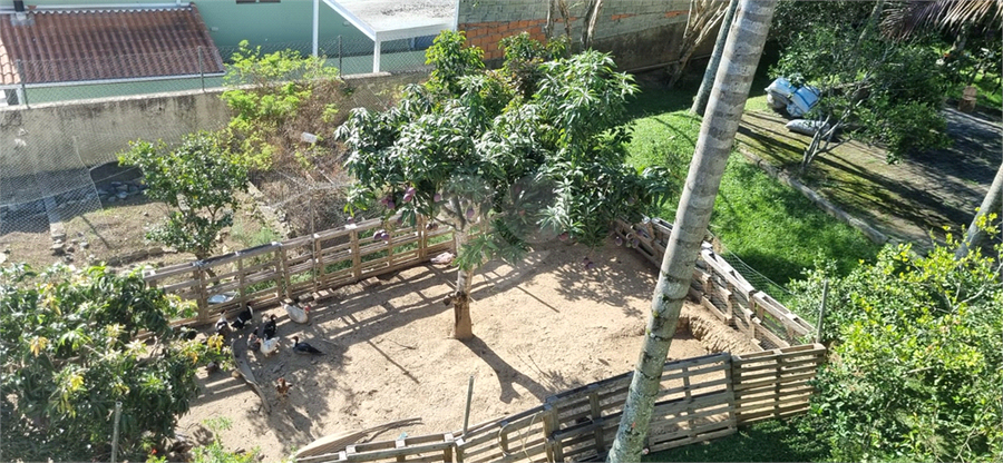 Foto REO1054889