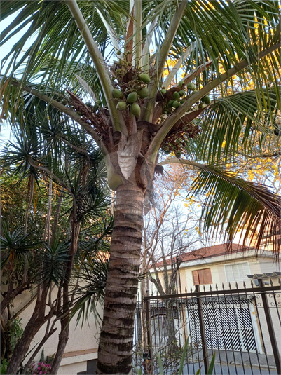 Venda Casa São Paulo Parque Mandaqui REO1054934 15