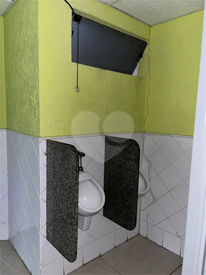 Foto REO1054957