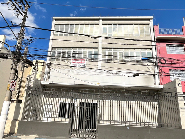 Foto REO1054957