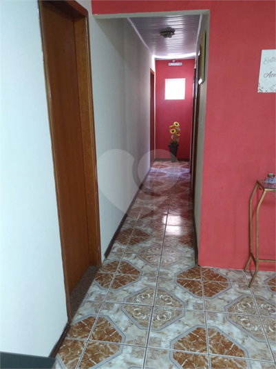 Foto REO1054968