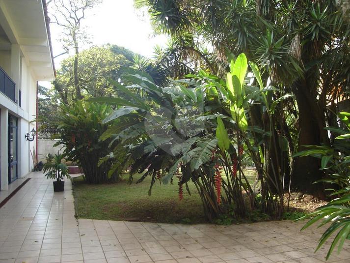 Foto REO105499