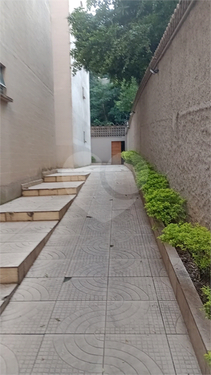 Foto REO1055042