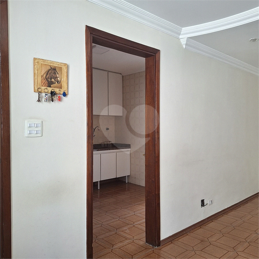 Foto REO1055042