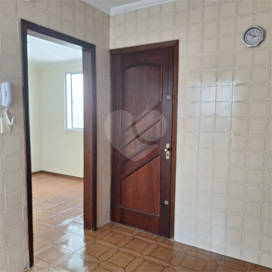 Foto REO1055042